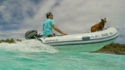 2026 10' Highfield Classic 310