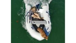 2025 9' Highfield Roll-Up 280 KAM