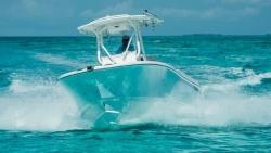 2025 24' Edgewater 245CC