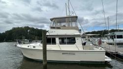 1994 34' Sabreline Sedan Flybridge