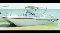 2025 20' ARROWCAT 20 CC