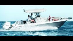 2024 26' WELLCRAFT 263 FISHERMAN