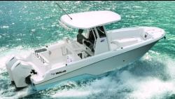 2026 24' WELLCRAFT 243 FISHERMAN