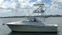 2006 33' Rampage Express