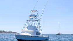 1973 31' Bertram Sportfisher