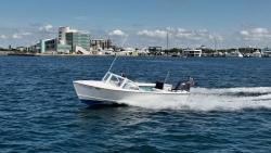 1982 19' Albury Brothers Runabout