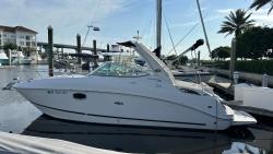 2010 27' Sea Ray 260 Sundancer