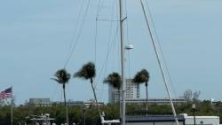 2019 43' Jeanneau Sun Odyssey 440