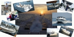 Eagle View Boats image